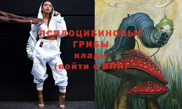 круглые Алексеевка