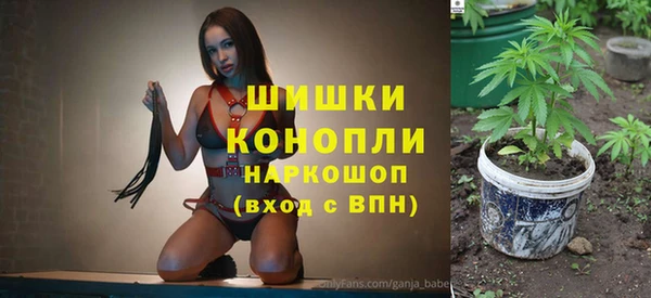 молекула духа Зеленодольск