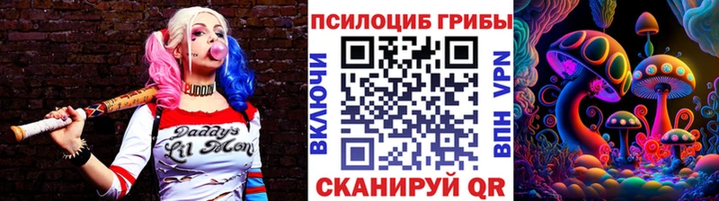где купить   Звенигово  Псилоцибиновые грибы GOLDEN TEACHER 